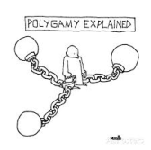 Polygamy Cartoon