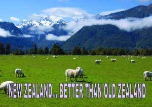 Decentralization Blog - New School